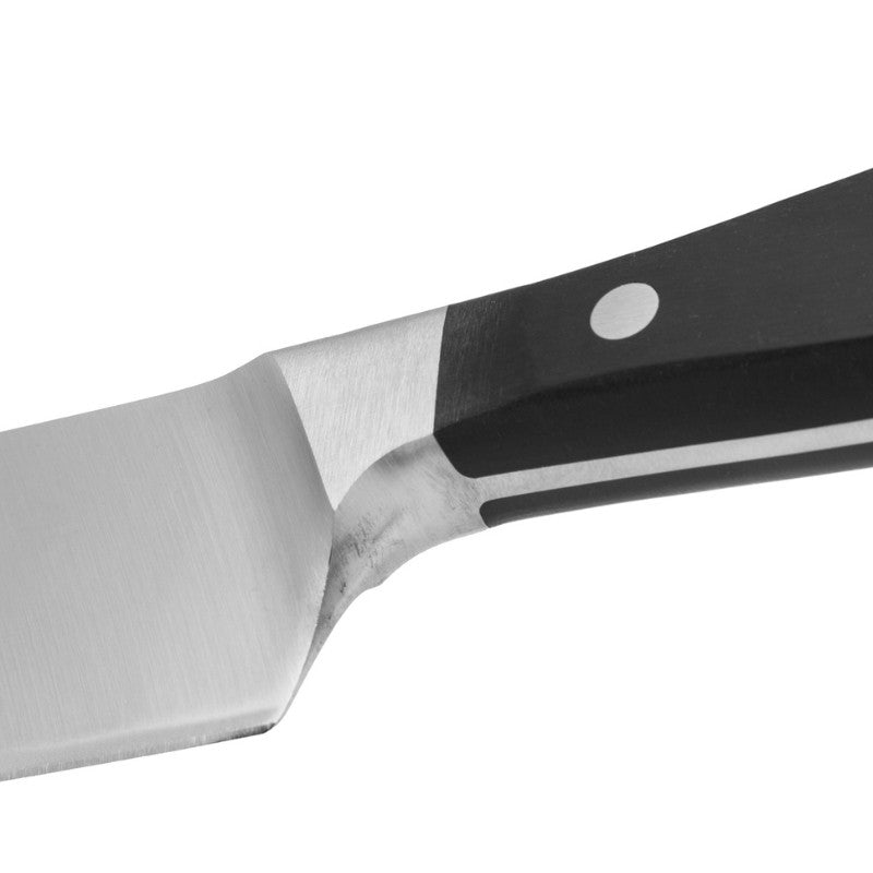 Manhattan 25 cm Chef Knife - ARCOS