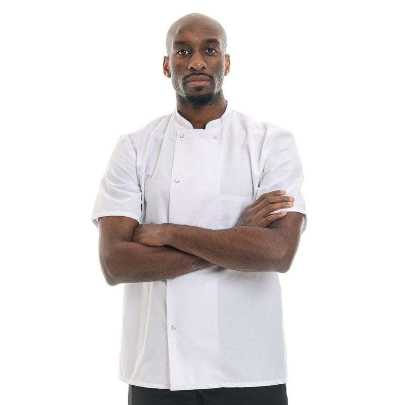 Robur T00 - XXS / Short Sleeve White Short Sleeve Chef Coat Madras - ROBUR