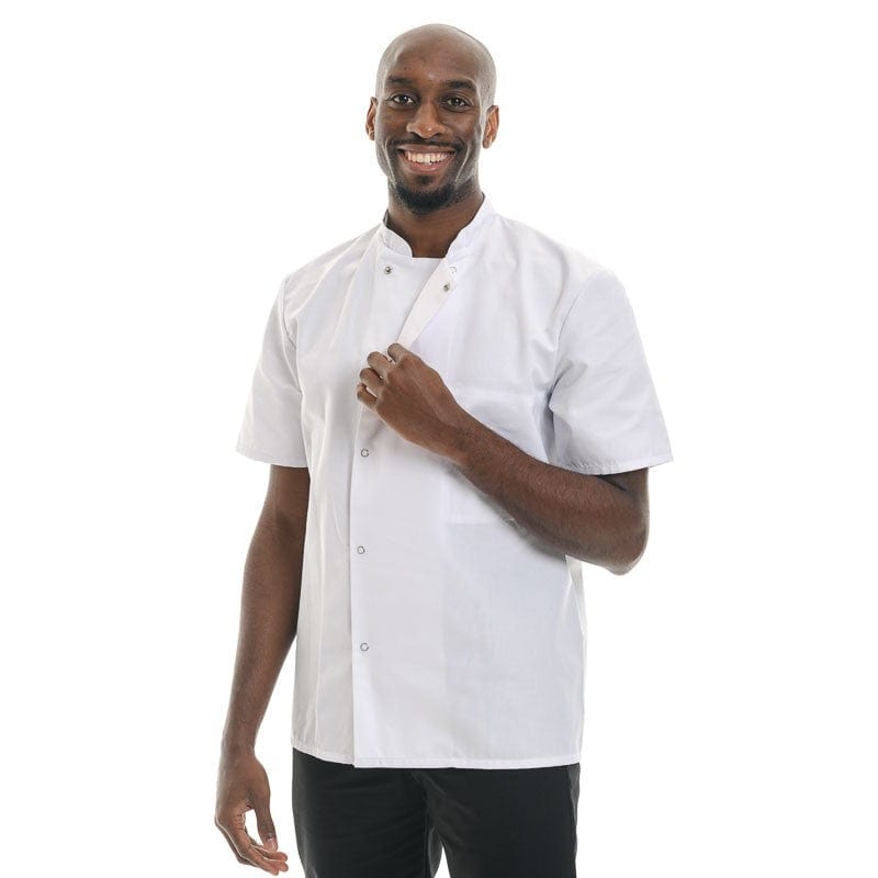 Robur White Short Sleeve Chef Coat Madras - ROBUR