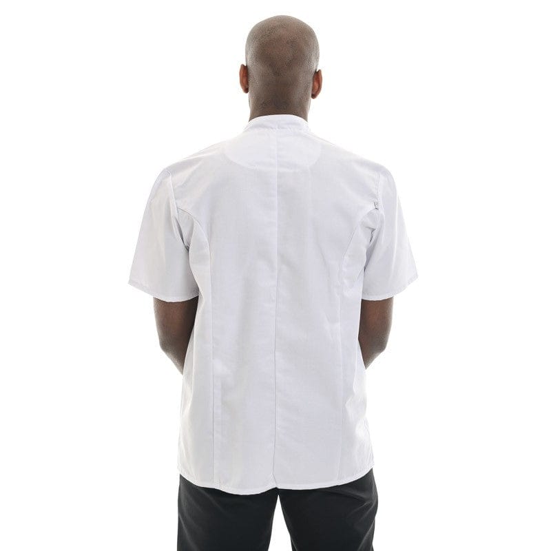 Robur White Short Sleeve Chef Coat Madras - ROBUR